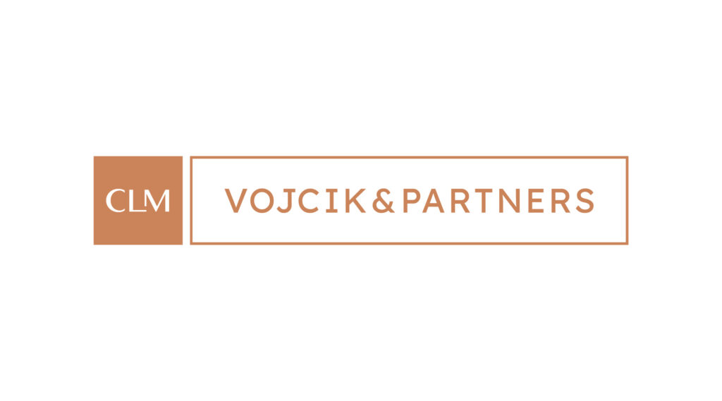 Vojcik and partners